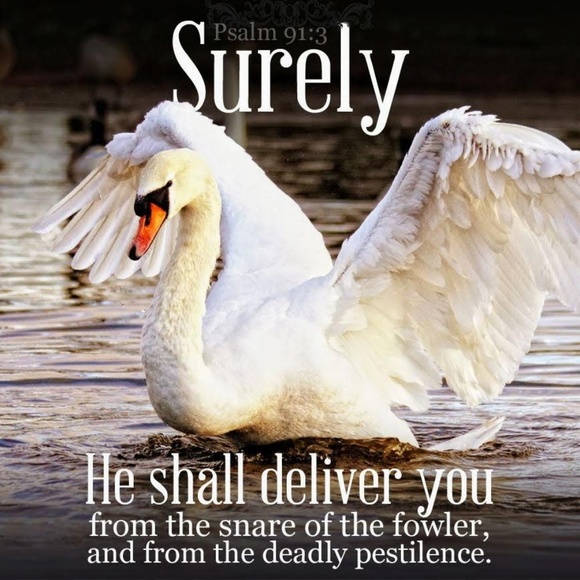 Other - Pillow Cover-New- Christian- He Shall Deliver Swan
